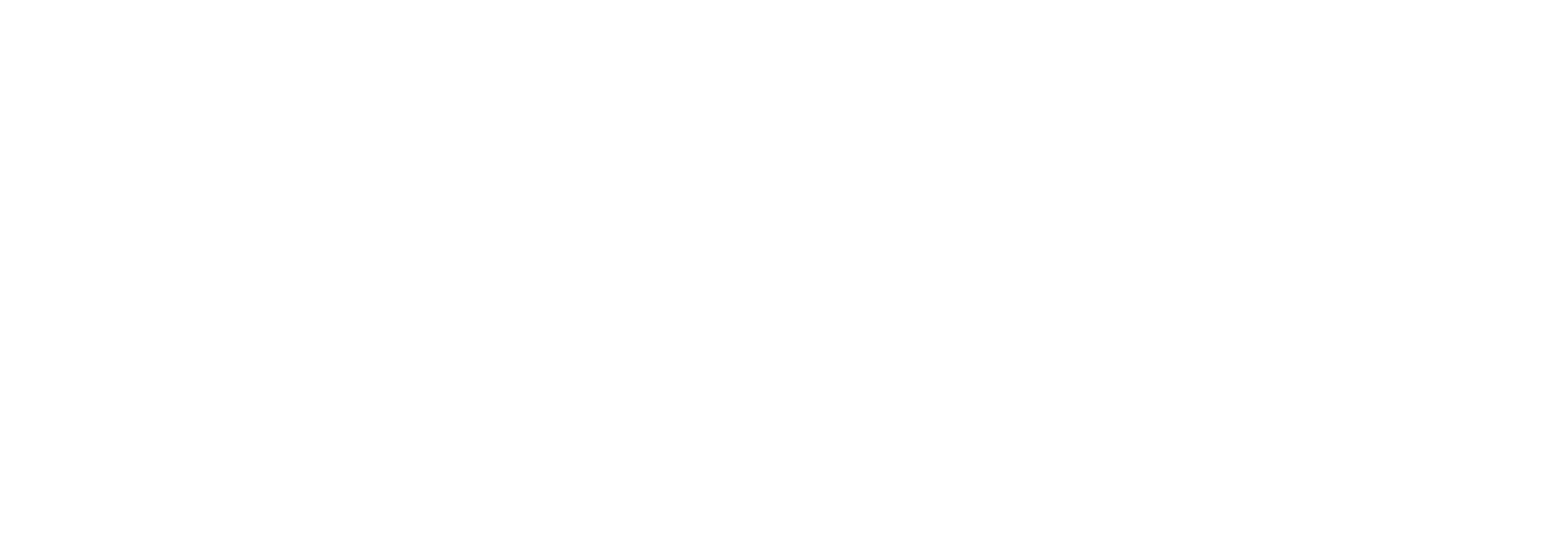 The Creative Hook Studio Logo